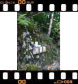 Foto 04