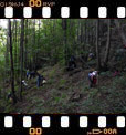 Foto 07