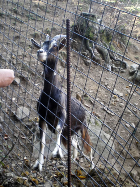 Foto 41