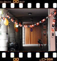 Foto 05