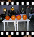Foto 37