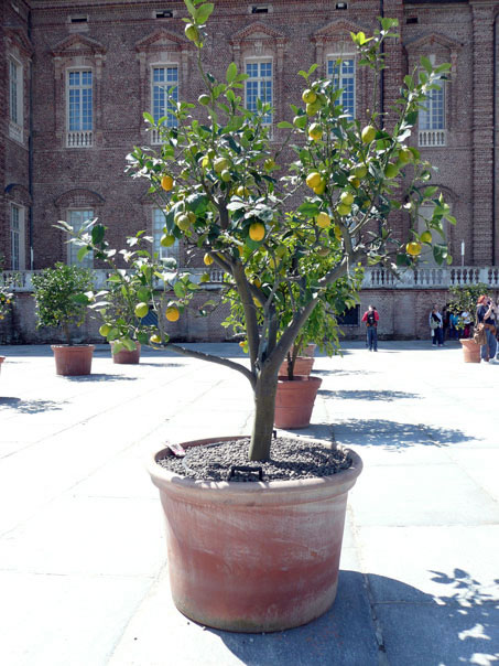 Foto 15