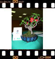 Foto 03