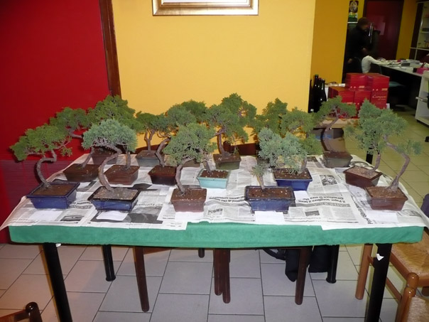 Foto 01