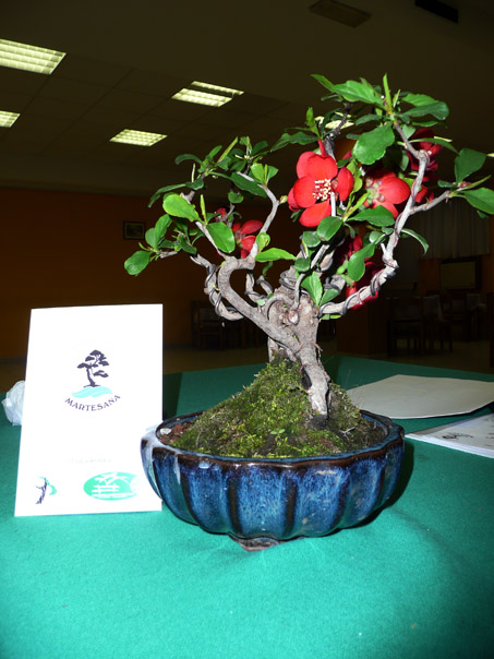 Foto 03