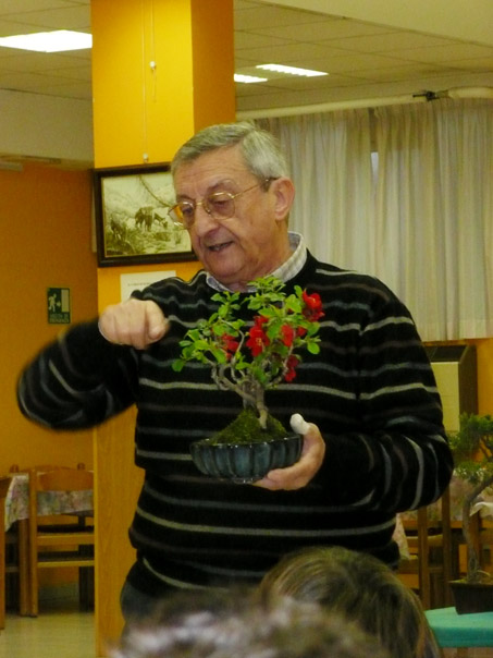 Foto 10