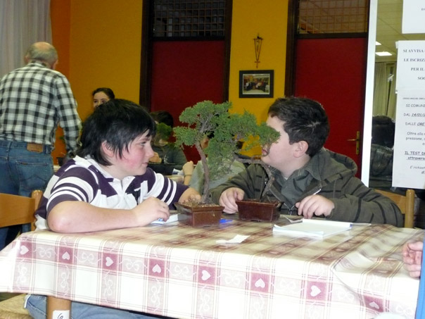 Foto 14