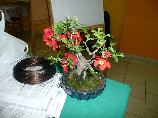 Foto 19