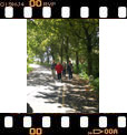 Foto 42