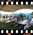 Foto 05