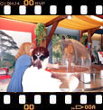 Foto 03