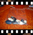 Foto 02