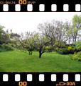 Foto 04
