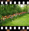 Foto 09