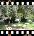 Foto 30