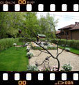 Foto 34