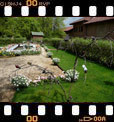 Foto 36