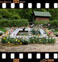 Foto 37