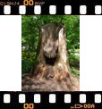 Foto 38
