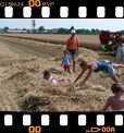 Foto 38