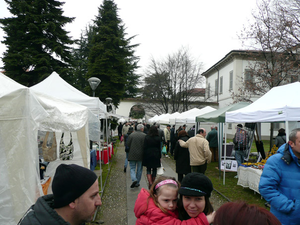 Foto 50