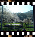 Foto 06