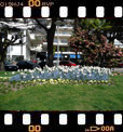 Foto 57