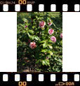 Foto 66