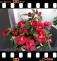 Foto 140