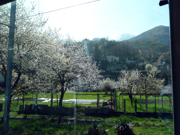 Foto 07