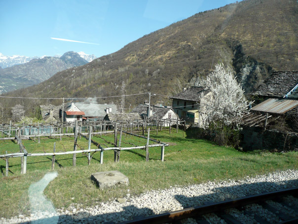 Foto 15