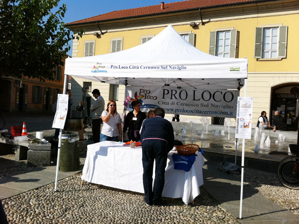 Foto 01