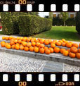 Foto 02