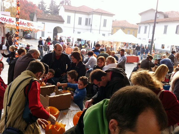 Foto 19