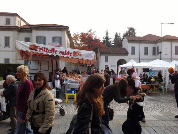 Foto 45