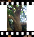 Foto 31