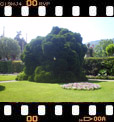 Foto 38