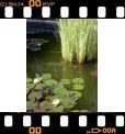 Foto 47