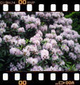 Foto 88