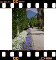 Foto 101