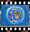 Foto 08