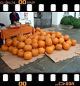 Foto 05