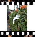 Foto 08