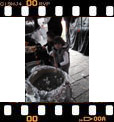 Foto 31