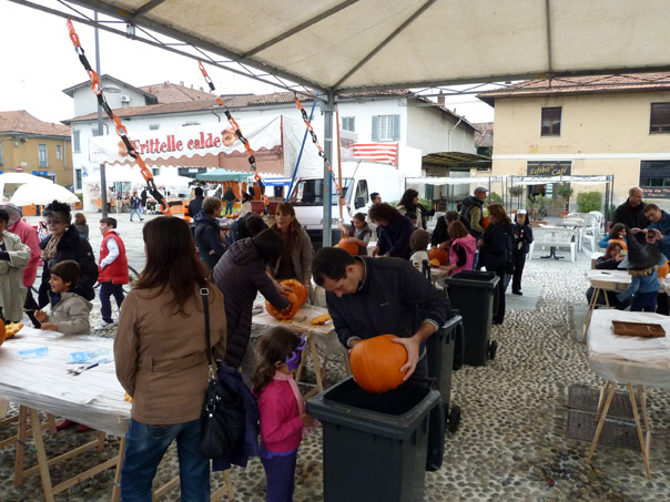 Foto 48