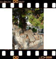 Foto 07