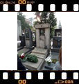 Foto 08