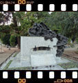 Foto 31