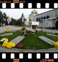 Foto 40