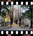 Foto 51